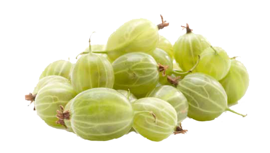 Gooseberry